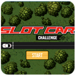 Slot Car
